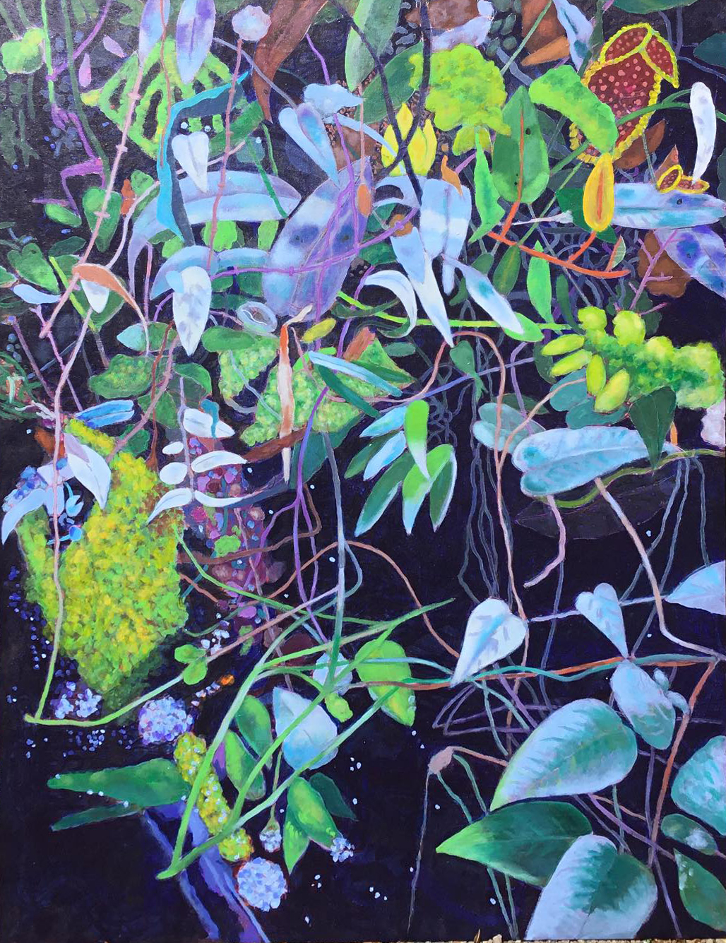 The Cat Sleeps Back Here  |  36" x 48"